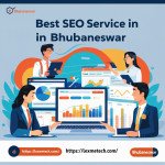 Best SEO Service in Bhubaneswar